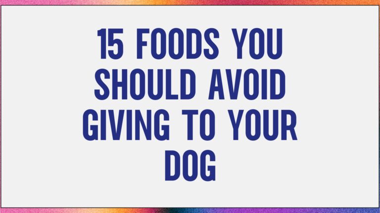 foods to avoid for dogs