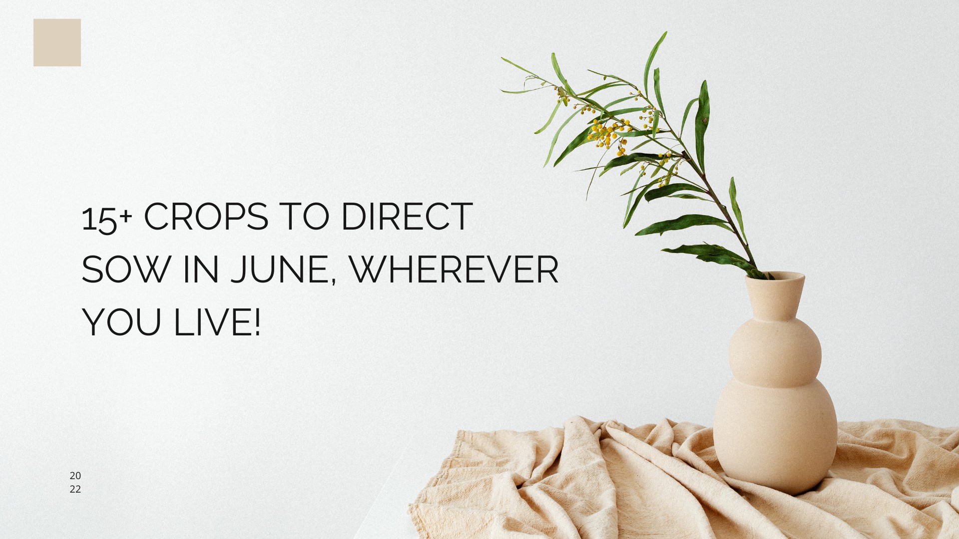 15+ Crops to Direct Sow in June, Wherever You Live!