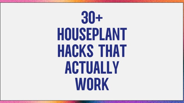 30+ Houseplant Hacks That Actually Work