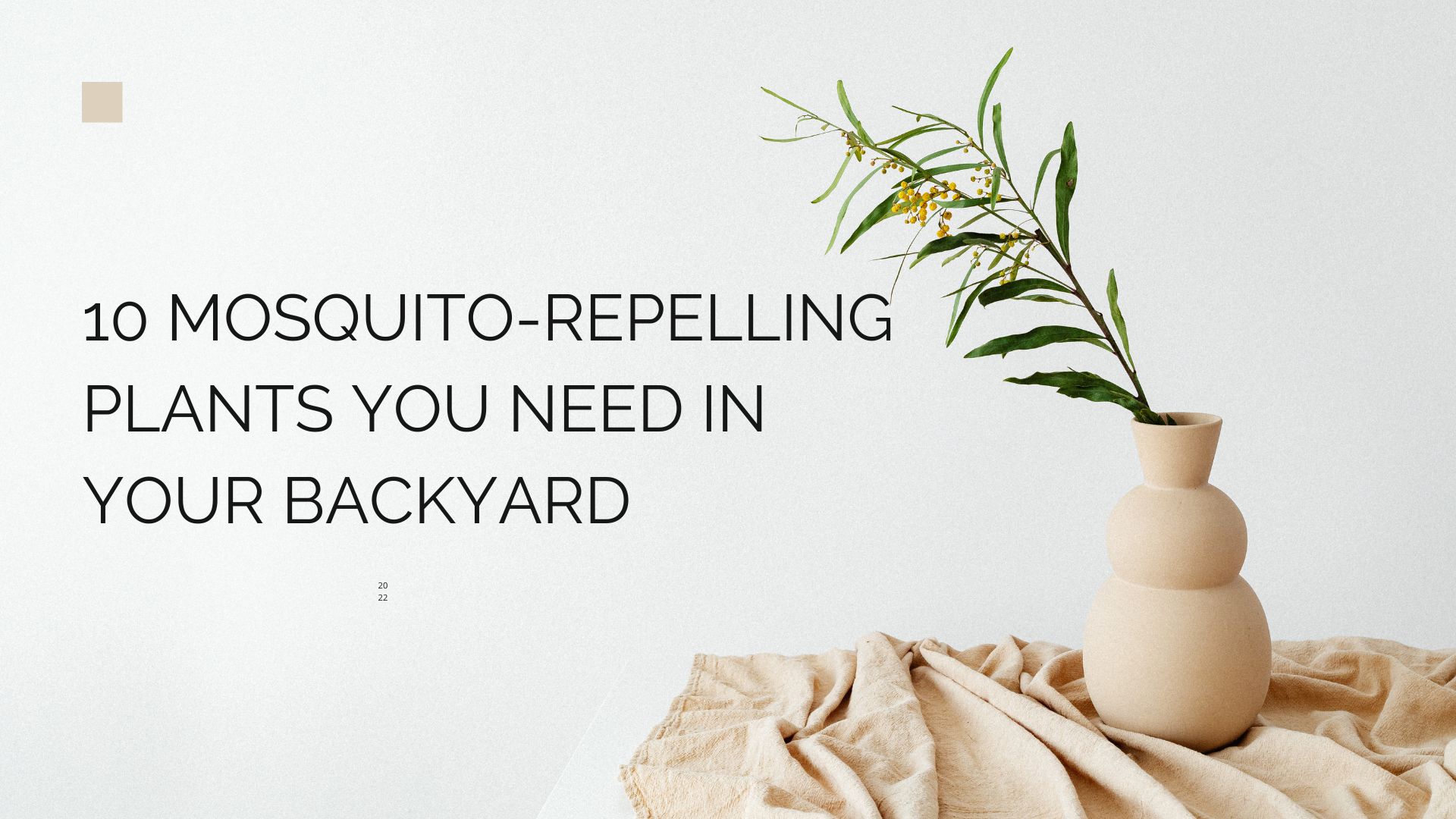 10 Mosquito-Repelling Plants You Need in Your Backyard