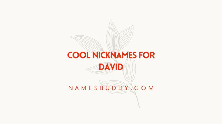 100 Cool Nicknames For David